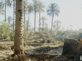 بغداد تتحرك قضائيا لمنع تجريف الاراضي الزراعية