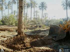 أمانة بغداد تعلن إيقاف عمليات تجريف الأراضي الزراعية بمناطق جنوب العاصمة