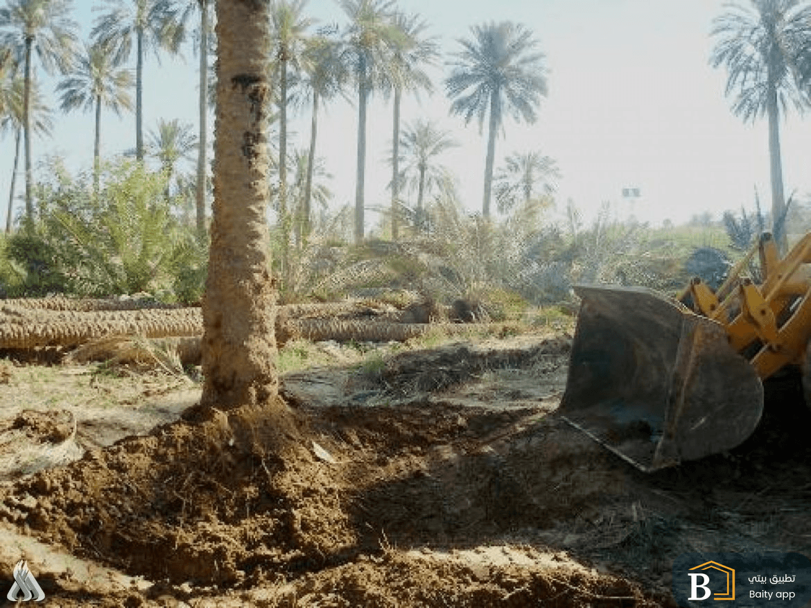 أمانة بغداد تعلن إيقاف عمليات تجريف الأراضي الزراعية بمناطق جنوب العاصمة